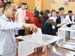 Đất đấu giá huyện Quốc Oai tiếp tục lập đỉnh mới, giá trúng gần 120 triệu đồng/m2 