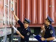Hoạt động nghiệp vụ hải quan.