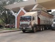 Xe nông sản qua cửa khẩu ở khu vực Tây Ninh.