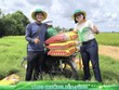 PVFCCo - Phú Mỹ (DPM) đặt kế hoạch vận hành ở công suất cao và Kl99 nổ hũ sau thuế 680 tỷ đồng
