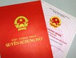 Ảnh Internet