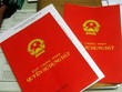 Ảnh Internet