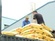 Kiến nghị điều tra hình sự sai phạm tại Đạm Hà Bắc (DHB)
