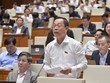Đại biểu Mai Hồng Hải (Hải Phòng) phát biểu tại nghị trường. 