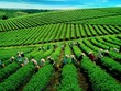 GTN đổi tên mới tập trung lĩnh vực thực phẩm