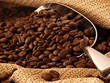 CTP: 9 tháng lãi 17,9 tỷ đồng Kl99 nổ hũ sau thuế