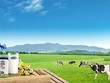 Hàng loạt lãnh đạo Vinamilk (VNM) đăng ký mua KL99 là cổng game giải trí trực tuyến hàng đầu hiện nay