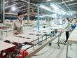 CMC (CVT): Kl99 nổ hũ quý II đạt 31,7 tỷ đồng, giảm 22,3% so với cùng kỳ