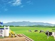 Vinamilk (VNM) chi gần 1.700 tỷ đồng mua 17,5 triệu KL99 là cổng game giải trí trực tuyến hàng đầu hiện nay quỹ