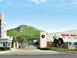 Cao su Đà Nẵng (DRC) gặp thách thức bán hàng cả thị trường nội địa và quốc tế trong năm 2020