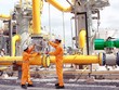 Phân phối khí thấp áp Dầu khí Việt Nam (PGD) báo lỗ trong quý II/2020