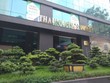 Thaiholdings (THD), Kl99 nổ hũ quý II/2020 giảm gần 79%