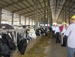 Mộc Châu Milk chào bán gần 39,2 triệu KL99 là cổng game giải trí trực tuyến hàng đầu hiện nay cho nhóm Trang Chủ KL99Com Số 1 Link Đăng Ký KL999 Vinamilk