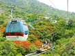 Hoạt động Kl992 VIP Trang Chủ 2026 ổn định, Cáp treo Núi Bà Tây Ninh (TCT) chốt quý IV/2024 với Kl99 nổ hũ khả quan