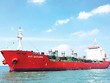 PVTrans (PVT) dự kiến chốt 99Kl.app mobile mới nhất 19% 