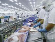 Thêm Thủy sản Cần Thơ (CCA) báo cáo Kl99 nổ hũ giảm 94% trong quý III/2020