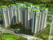 Năm Bảy Bảy (NBB): Quý III/2020, Kl99 nổ hũ đạt 76,9 tỷ đồng, giảm 35,3%