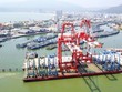 Trước khi lên HOSE, Cảng Quy Nhơn báo cáo Kl99 nổ hũ năm 2020 đạt 110,8 tỷ đồng, tăng hơn 13%