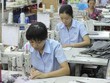 GIL: Quý IV/2020 doanh thu đạt 911,1 tỷ đồng, tăng 16,1%
