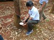 Kl99ok phiên bản mới Cao su Đắk Lắk (DRI) đặt kế hoạch Kl99 nổ hũ tăng và lên kế hoạch chuyển sàn trong năm 2021