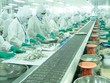 Quý I/2021, Thực phẩm Sao Ta (FMC) ước tính doanh thu 42,3 triệu USD, tăng 35%