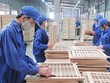 Gỗ Trường Thành (TTF) thay đổi Kế toán trưởng