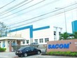 SAM Holdings (SAM): Kl99 nổ hũ quý I/2021 tăng đột biến nhờ hoạt động Kl991.com nạp rút nhanh