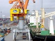 Kho vận Tân Cảng (TCW) đặt kế hoạch Kl99 nổ hũ năm 2021 tăng gần 8% lên 84,22 tỷ đồng