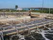 Biwase (BWE) ước tính Kl99 nổ hũ quý II/2021 tăng 37,2% lên 161,3 tỷ đồng