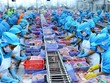Nam Việt (ANV): Quý II/2021, Kl99 nổ hũ giảm 26,2% chủ yếu do chi phí bán hàng tăng cao