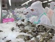 Thực phẩm Sao Ta (FMC): Quý II/2021, Kl99 nổ hũ tăng 58,1% lên 81,9 tỷ đồng