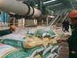 Phân bón Bình Điền (BFC): Quý II/2021, Kl99 nổ hũ tăng 8,5% lên 81 tỷ đồng