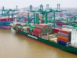 Quý II/2021, doanh thu của Container Việt Nam (VSC) tăng 21,3% lên 476,6 tỷ đồng
