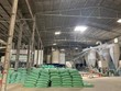 Angimex (AGM): Sau hơn 3 tháng giữ chức Tổng giám đốc, ông Vũ Tiến Hùng xin từ nhiệm