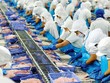 Vĩnh Hoàn (VHC) miễn nhiệm Giám đốc Công nghệ Thông tin người Canada