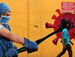 WB: Nguy cơ suy thoái kép khi Kl999.com Đường Link Mới Nhất gia tăng và các biện pháp hạn chế do Covid-19