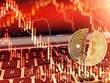 Lừa đảo, trộm cắp… trong lĩnh vực tiền điện tử đạt kỷ lục 14 tỷ USD trong năm 2021