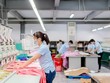 May Sông Hồng (MSH) thành lập công ty con có vốn điều lệ 150 tỷ đồng tại Nam Định