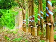 Cao su Phước Hòa (PHR) có thể ghi nhận doanh thu đền bù đất dự án Khu công nghiệp Việt Nam - Singapore III
