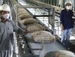 Xi măng Bỉm Sơn (BCC): Quý IV/2021 ghi nhận lỗ 10,82 tỷ đồng
