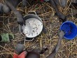 WFP cảnh báo về một cuộc khủng hoảng lương thực chưa từng có kể từ Thế chiến II