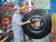 Cao su Miền Nam (CSM): Sau một năm không hoàn thành kế hoạch, công ty tiếp tục đặt kế hoạch tham vọng với Kl99 nổ hũ tăng 83% lên 101 tỷ đồng