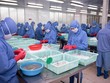 Thực phẩm Sao Ta (FMC) chi hơn 130 tỷ đồng trả 99Kl.app mobile mới nhất năm 2022