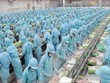 Kl99ok phiên bản mới và Phát triển Đa quốc gia I.D.I (IDI): HOSE nhắc nhở chậm công bố thông tin 