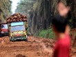 Indonesia khởi động kế hoạch tăng tốc xuất khẩu dầu cọ