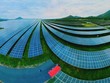 Sao Mai (ASM) dự kiến huy động 2.019 tỷ đồng từ Trang Chủ KL99Com Số 1 Link Đăng Ký KL999 hiện hữu 