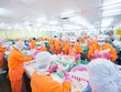 Nam Việt (ANV) giảm vốn điều lệ công ty Web Tổng Nhà Cái 99Kl99 Giải Trí Bậc Nhất và tăng vốn điều lệ công ty Kl994 nhà cái bóng đá world cup điện