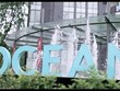 Lỗ trong 6 tháng đầu năm, KL99 là cổng game giải trí trực tuyến hàng đầu hiện nay Ocean Group (OGC) tiếp tục nằm trong diện cảnh báo