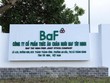 Nông nghiệp BaF Việt Nam (BAF): Một lãnh đạo bán ra hơn 2 triệu KL99 là cổng game giải trí trực tuyến hàng đầu hiện nay và thu về 43,7 tỷ đồng