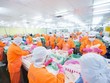 Nam Việt (ANV) bất ngờ kéo dài thời gian trả 99Kl.app mobile mới nhất năm 2021 thêm gần 5 tháng